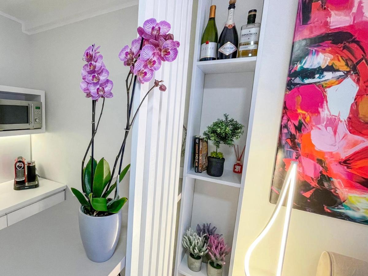 Skadarlija Colorway Apartment Beograd Ngoại thất bức ảnh